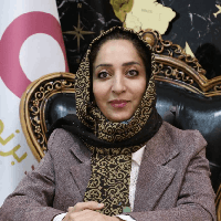 نسرین عابدینی